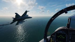 Oh Boy Look At This New Flight Sim